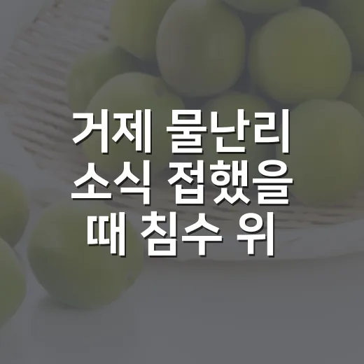 거제 물난리 소식 접했을 때 침수 위험 확인하는 방법 - 요약