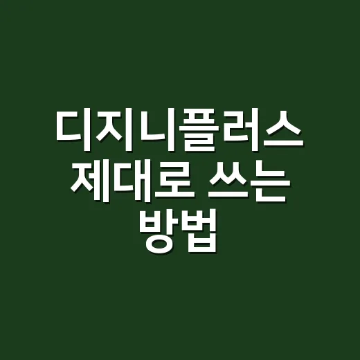 디지니플러스 제대로…