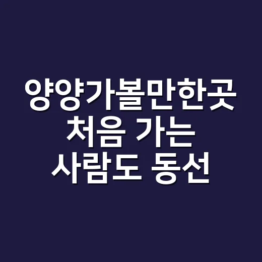 양양가볼만한곳 처음 가는 사람도 동선 덜 꼬이게 도는 방법 - 요약