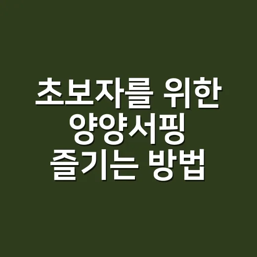 초보자를 위한 양양…