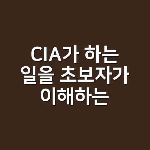 CIA가 하는 일을 초보자가 이해하는 방법 - 요약