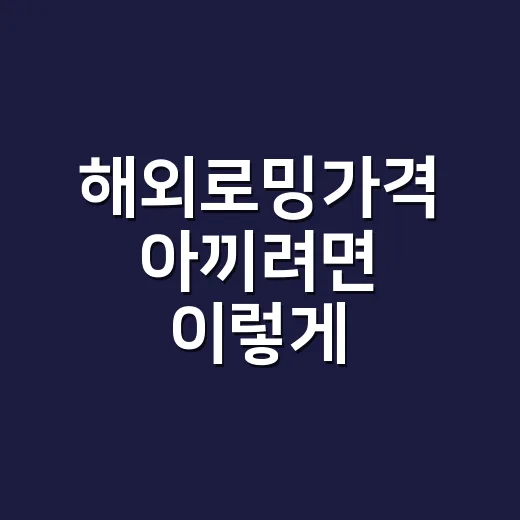 해외로밍가격 아끼려면 이렇게 고르세요 - 요약