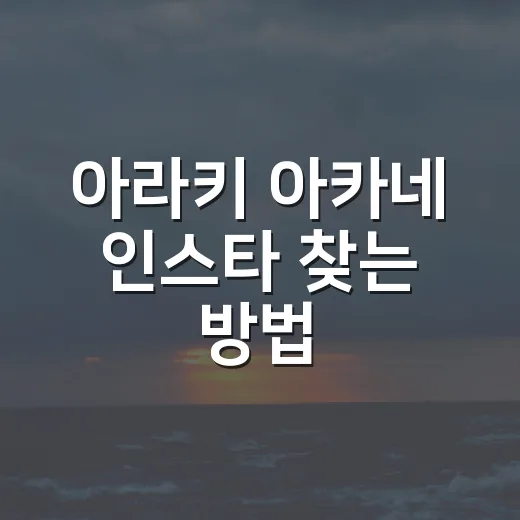 아라키 아카네 인스타 찾는 방법, 헷갈리지 않게 확인하려면 이렇게 - 요약