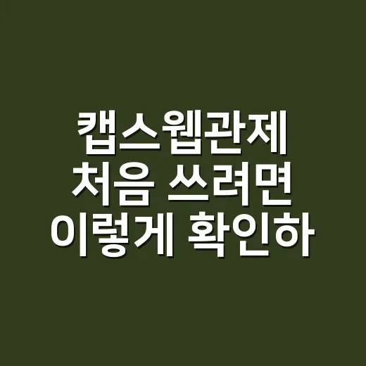 캡스웹관제 처음 쓰려면 이렇게 확인하는 방법 - 요약
