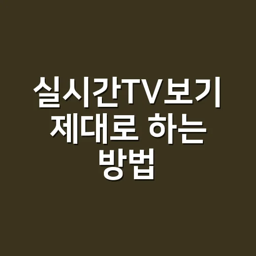 실시간TV보기 제대로 하는 방법, 무료 채널부터 유료 서비스까지 고르는 기준 - 요약