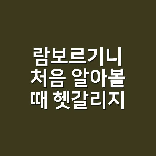 람보르기니 처음 알아볼 때 헷갈리지 않는 방법 - 요약