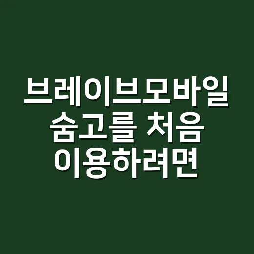 브레이브모바일 숨고를 처음 이용하려면 이렇게 비교하세요 - 요약