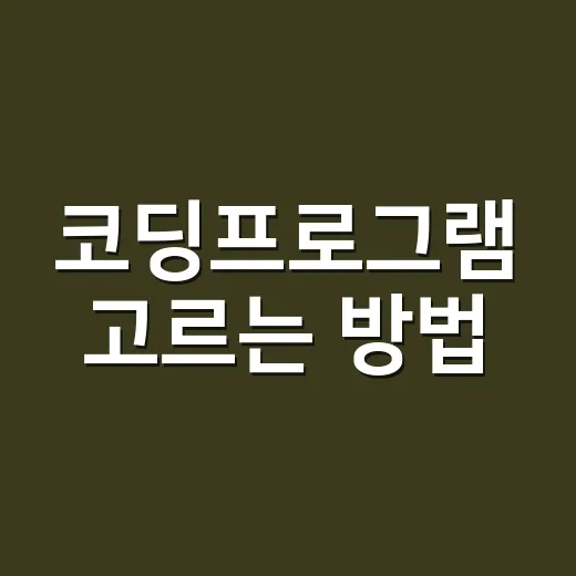 코딩프로그램 고르는 방법: 처음 시작할 때 덜 헤매는 기준 - 요약