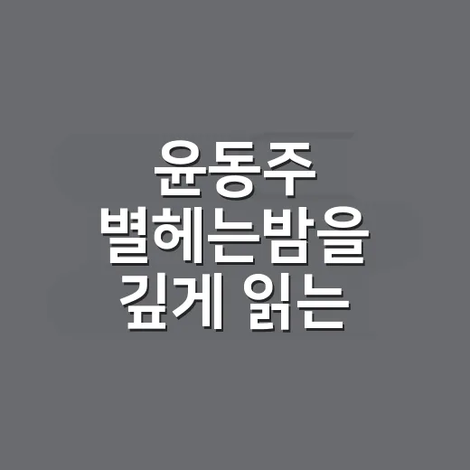 윤동주 별헤는밤을 깊게 읽는 방법, 처음 읽어도 오래 남는 감상법 - 요약