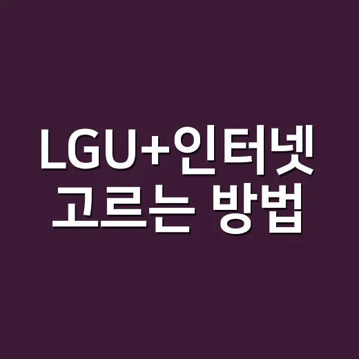 LGU+인터넷 고르는 방법, 100M·500M·1기가 선택하려면 이렇게 - 요약
