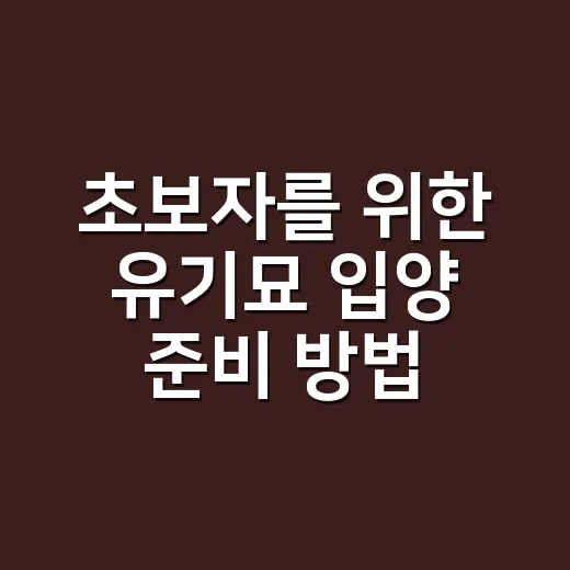 초보자를 위한 유기묘 입양 준비 방법 - 요약