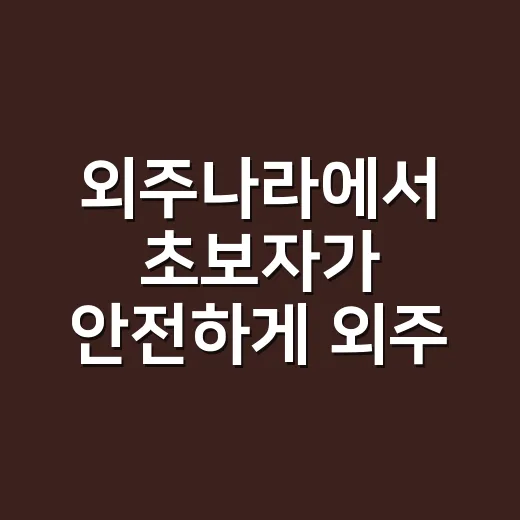 외주나라에서 초보자가 안전하게 외주 맡기는 방법 - 요약