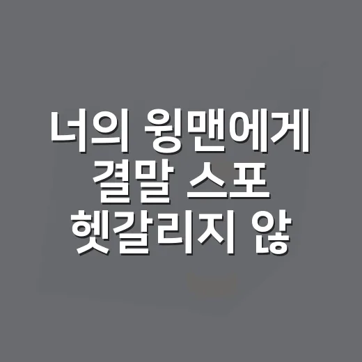 너의 윙맨에게 결말 스포 헷갈리지 않게 보는 방법 - 요약