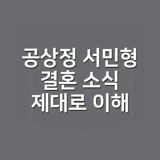 공상정 서민형 결혼 소식 제대로 이해하는 방법 - 요약
