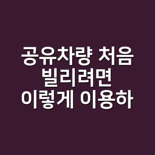 공유차량 처음 빌리려면 이렇게 이용하면 덜 헷갈립니다 - 요약