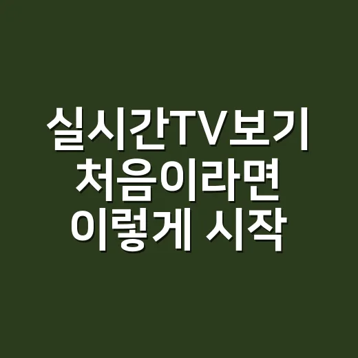 실시간TV보기 처음이라면 이렇게 시작하는 방법 - 요약