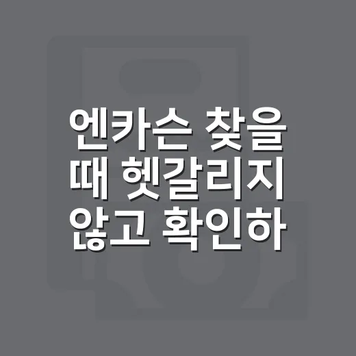엔카슨 찾을 때 헷갈리지 않고 확인하는 방법 - 요약