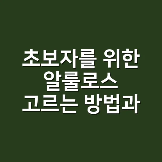 초보자를 위한 알룰로스 고르는 방법과 설탕 대신 쓰는 법 - 요약