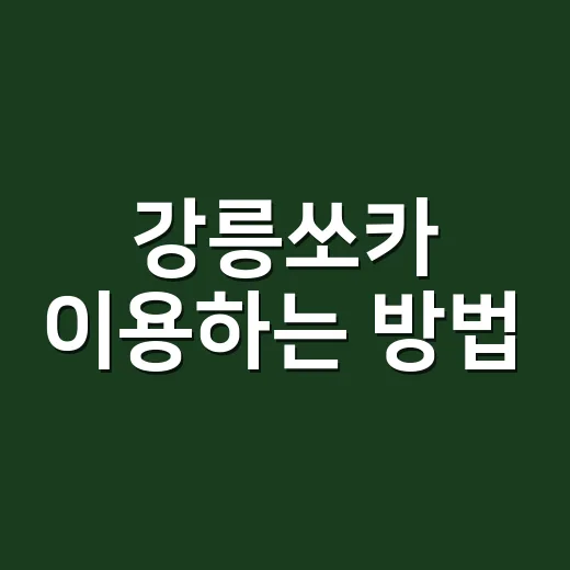 강릉쏘카 이용하는 방법, KTX 도착 후 바다까지 편하게 움직이려면 이렇게 - 요약