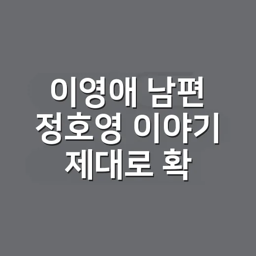 이영애 남편 정호영 이야기 제대로 확인하는 방법 - 요약