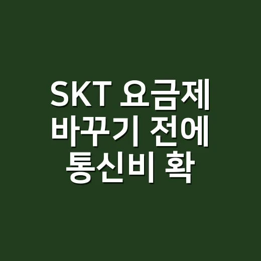 SKT 요금제 바꾸기 전에 통신비 확인하는 방법 - 요약