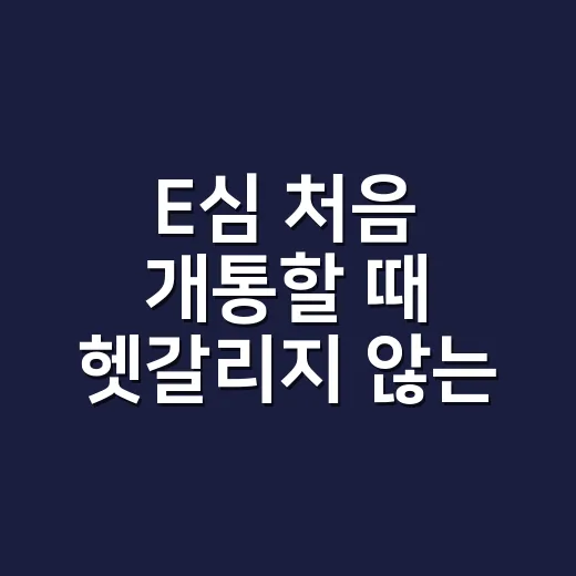 E심 처음 개통할 때 헷갈리지 않는 방법 - 요약