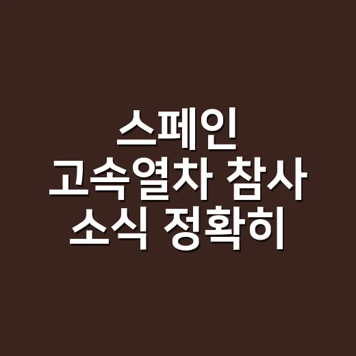 스페인 고속열차 참사 소식 정확히 확인하는 방법 - 요약
