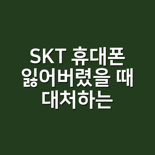 SKT 휴대폰 잃어버렸을 때 대처하는 방법 - 요약