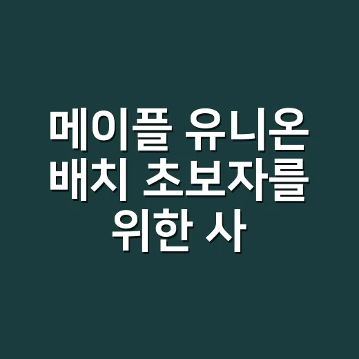 메이플 유니온 배치 초보자를 위한 사냥·보스 세팅 방법 - 요약