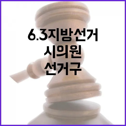 2026 6.3 지방선거 경상북 영천시가선거구 시의원 후보 총정리｜기호·정당·경력 한눈에 (5명)