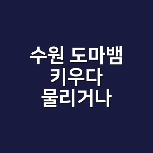 수원 도마뱀 키우다 물리거나 긁혔을 때 병원에 가야 할까요? - 요약