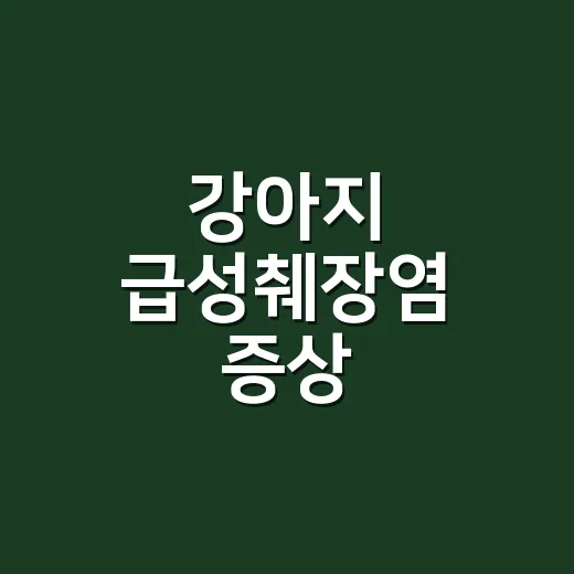 강아지 급성췌장염 증상, 단순 배탈과 어떻게 다를까요? - 요약