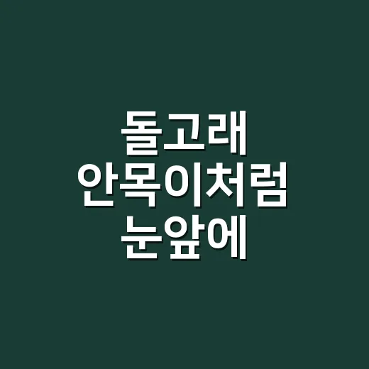 돌고래 안목이처럼 눈앞에 떠다니는 모양, 그냥 둬도 괜찮을까요? - 요약