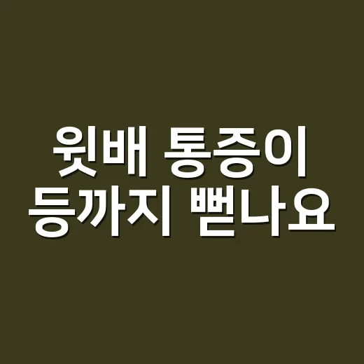 윗배 통증이 등까지 뻗나요? 급성췌장염 증상은 어떻게 다를까요? - 요약