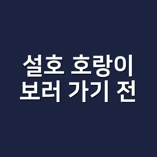설호 호랑이 보러 가기 전, 아이 컨디션은 괜찮으신가요? - 요약
