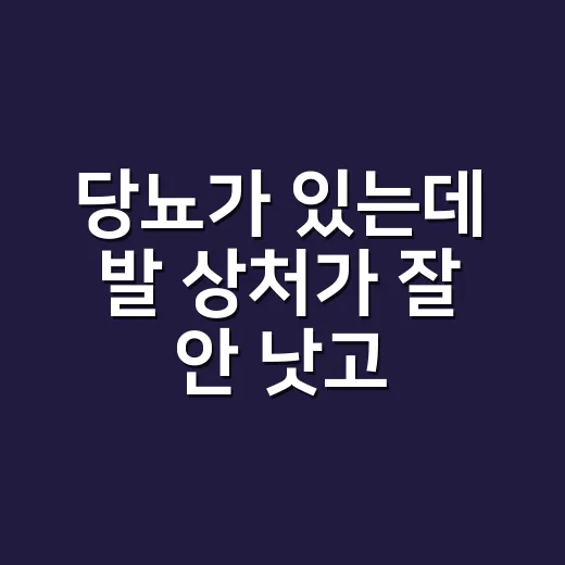 당뇨가 있는데 발 상처가 잘 안 낫고 계신가요? - 요약