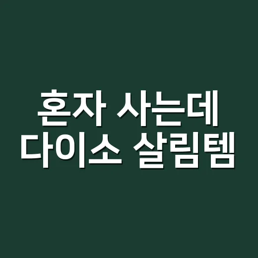 혼자 사는데 다이소 살림템, 어떤 3가지를 먼저 사야 할까요? - 요약
