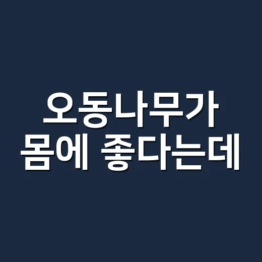 오동나무가 몸에 좋다는데, 차로 마시거나 먹어도 괜찮을까요? - 요약