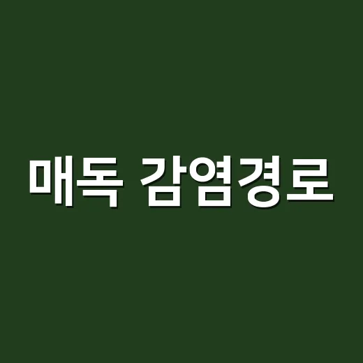 매독 감염경로, 어디까지 조심해야 할까요? - 요약