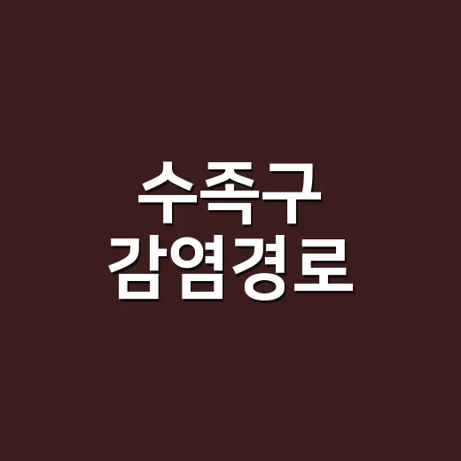 수족구 감염경로, 우리 아이는 어디서 옮았을까요? - 요약