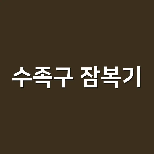 수족구 잠복기, 증상 없을 때도 옮길 수 있을까요? - 요약