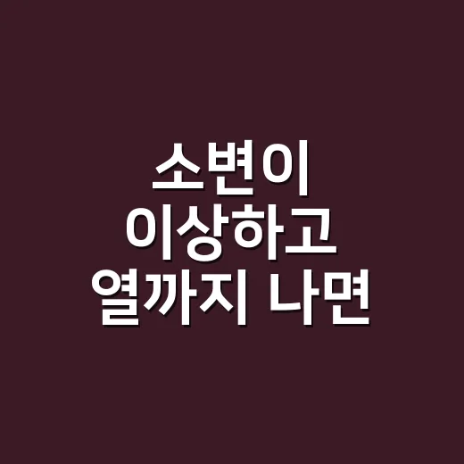 소변이 이상하고 열까지 나면 신우신염 증상일까요? - 요약