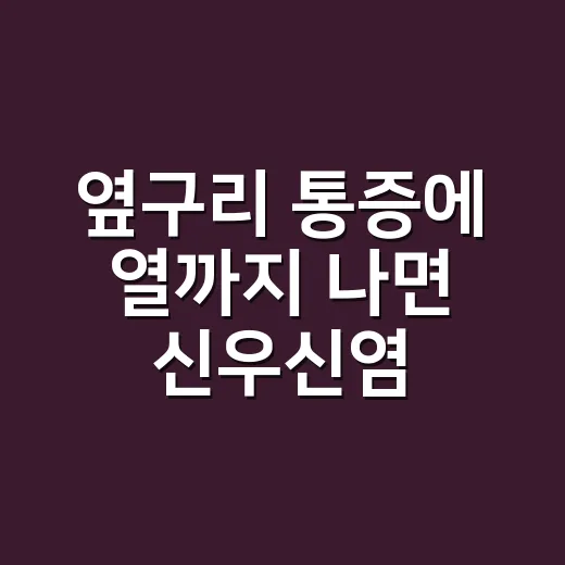 옆구리 통증에 열까지 나면 신우신염 증상일까요? - 요약