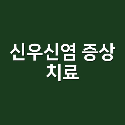 신우신염 증상 치료, 감기몸살처럼 시작해도 병원에 가야 할까요? - 요약