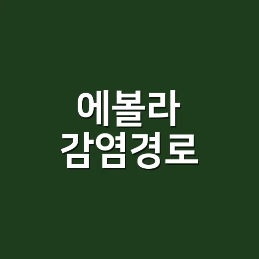 에볼라 감염경로, 그냥 옆에 있기만 해도 옮을까요? - 요약