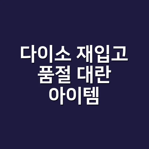 다이소 재입고 품절 대란 아이템, 왜 갈 때마다 없을까요? - 요약