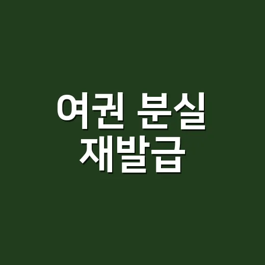 여권 분실 재발급, 지금 바로 신고해야 할까요? - 요약