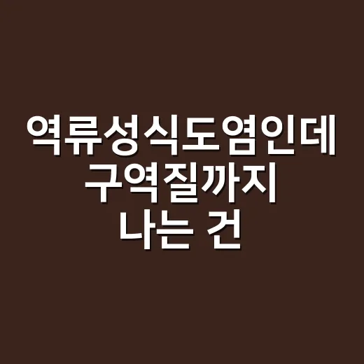 역류성식도염인데 구역질까지 나는 건 왜일까요? - 요약