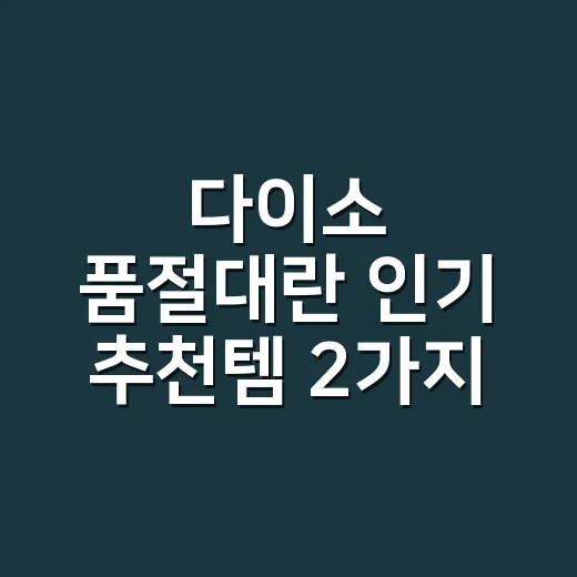 다이소 품절대란 인기 추천템 2가지, 정말 누구에게나 괜찮을까요? - 요약
