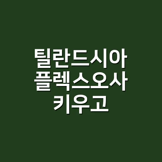 틸란드시아 플렉스오사 키우고 계신가요, 호흡기에는 괜찮을까요? - 요약